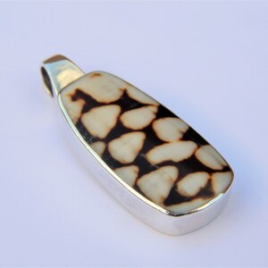 May include: A silver pendant with a white and brown shell inlay. The shell has a unique pattern of small, irregular shapes.