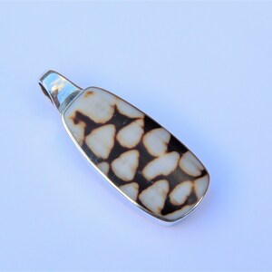 May include: A silver pendant with a brown and white shell inlay. The shell has a unique pattern of brown and white spots.