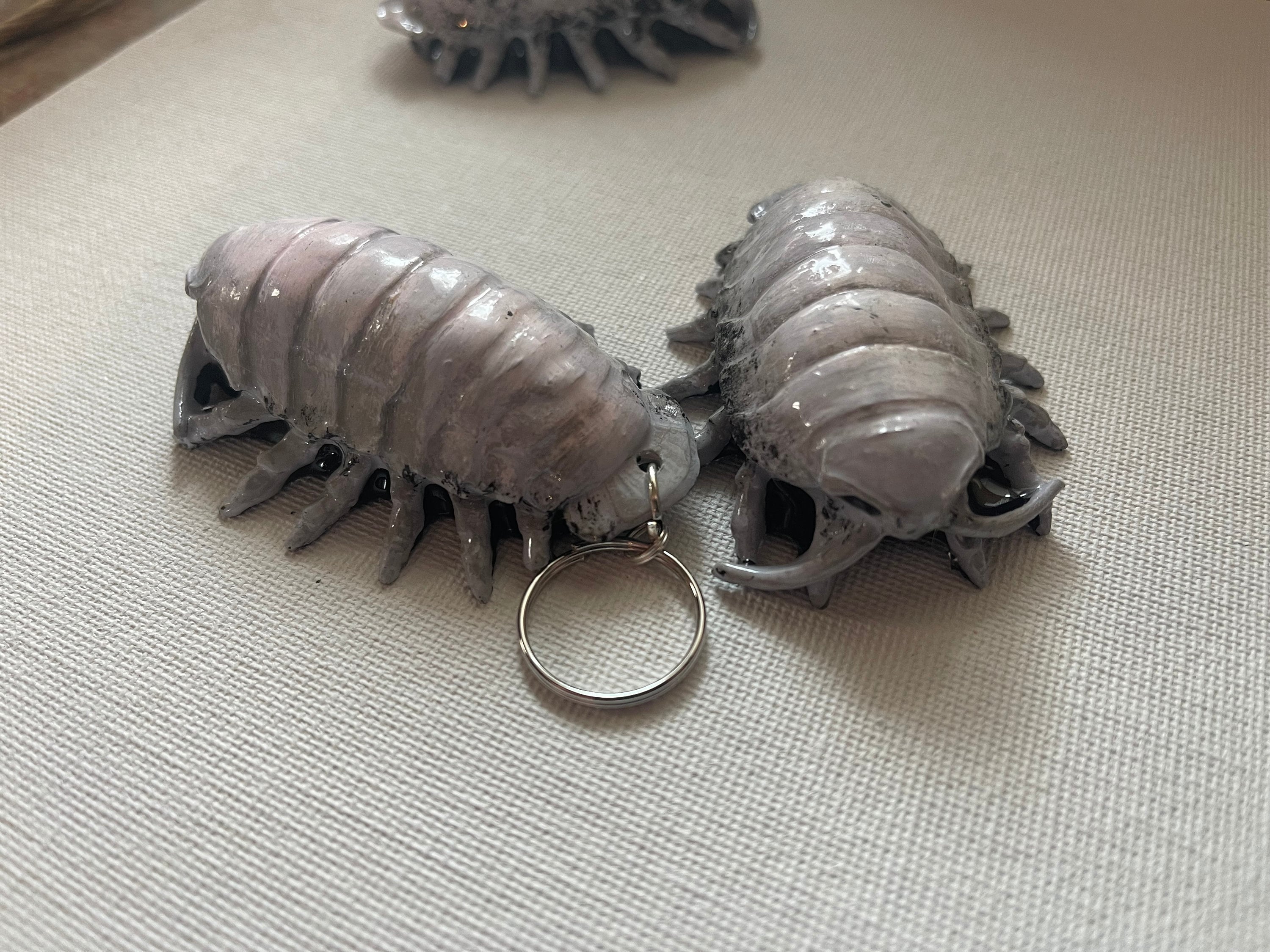 Giant Underwater Pill Bug