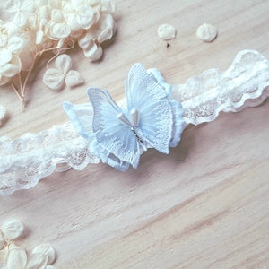 Garter blue butterfly 2