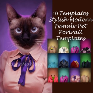 May include: A Siamese cat wearing a pink shirt with a purple bow tie. The image is a template for a pet portrait. The text on the image reads "10 Templates Stylish Modern Female Pet Portrait Templates".