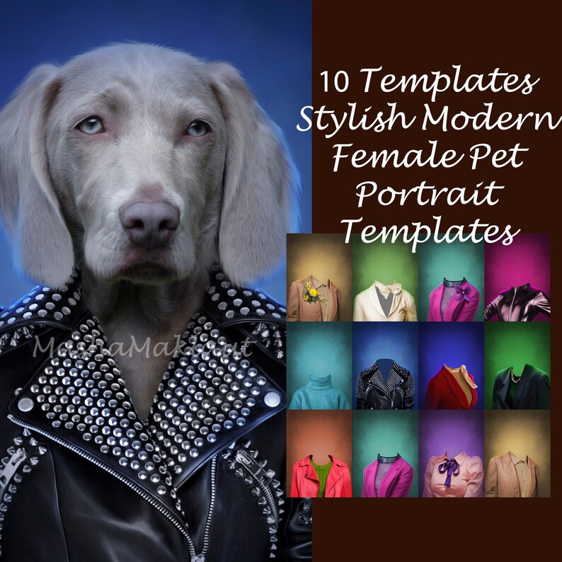 May include: 10 Templates Stylish Modern Female Pet Portrait Templates. A digital illustration of a gray dog wearing a black leather jacket with silver studs. The dog is looking directly at the camera.