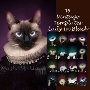 May include: A Siamese cat wearing a black and white vintage costume with a white ruff collar. The cat is looking directly at the viewer. The image is part of a set of 16 vintage templates called "Lady in Black".