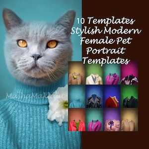 BUNDLE -10- pet portrait templates, modern animal portrait, backdrop costume, Photoshop template JPG