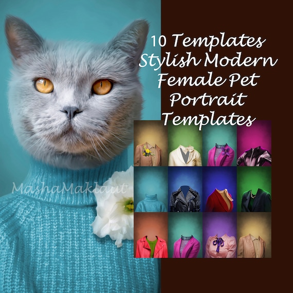 BUNDLE -10- pet portrait templates, modern animal portrait, backdrop costume, Photoshop template JPG