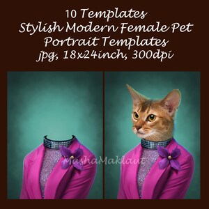 May include: Two digital templates for creating pet portraits. The templates feature a pink blazer with a sparkly collar and a purple flower. One template shows the blazer with a blank space for a pet's head, while the other template shows a cat wearing the blazer.