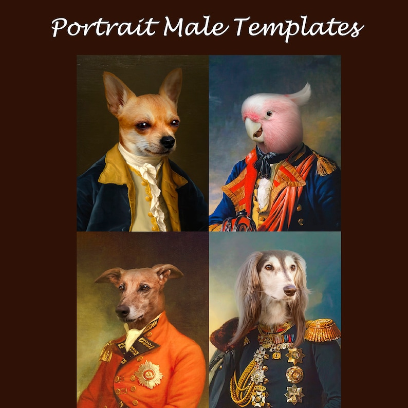 BUNDLE 20 royal pet portrait templates, vintage male animal portrait, backdrop costume, digital background JPG image 7