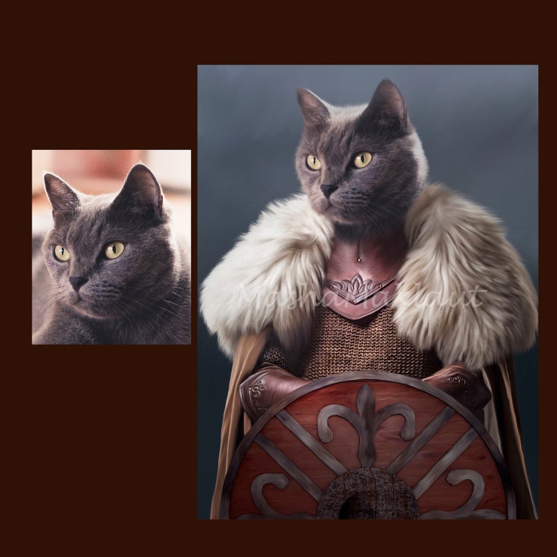 May include: A gray cat dressed as a warrior, wearing a fur-trimmed cloak, chainmail armor, and a leather helmet. The cat is holding a round shield with a decorative design.