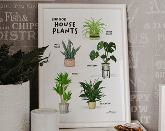 House Plant Lover Illustration Poster Print. Includes Monstera, Peace Lily, Yucca, Snake Plant & Spider Plant