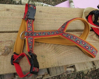 MODOG chest harness with leaf border red