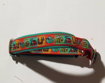 MODOG collar beetle colorful