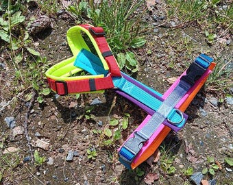 Modog Colorful Harness