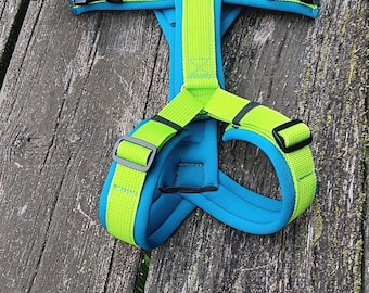 Chest Harness Neoprene Belt Lime Neoprene Petrol Y Chest Strap