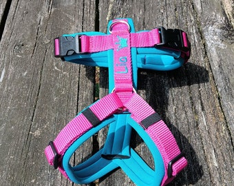 Modog Chest Harness NEOPRENE turquoise pink embroidery