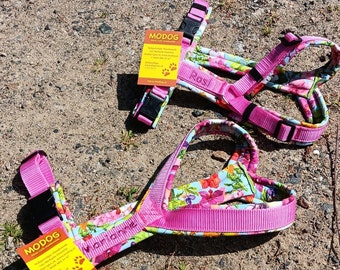 Modog Harness Spring Water Lily with Name