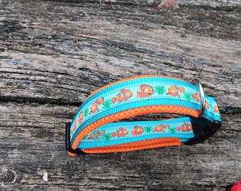 Modog collar clown fish