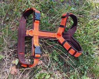 Chest harness reflex orange brown