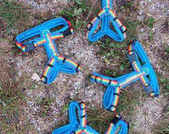 Chest harnesses rainbow embroidered