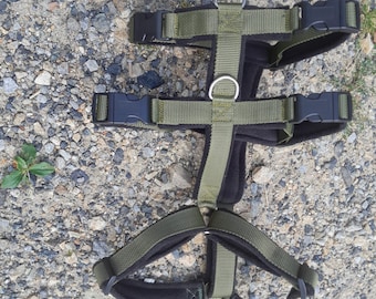MODOG Set Shy Deer Safety Harness Leash Collar