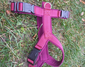 MODOG chest harness round collar wine red softshell neck buckle