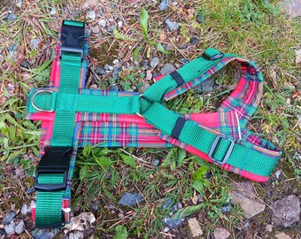 Modog harness tartan green