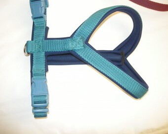 MODOG chest harness round collar turquoise dark bla