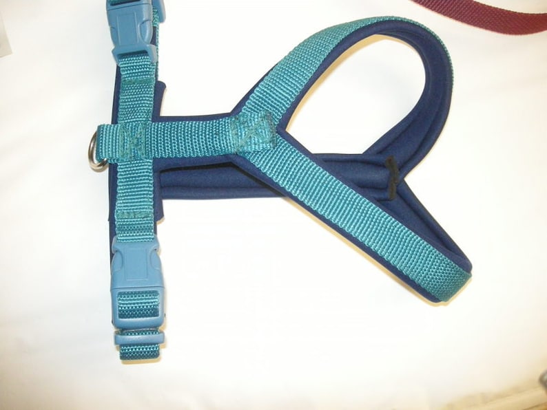 MODOG chest harness round collar turquoise dark bla image 1