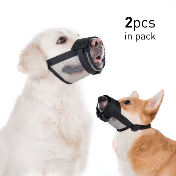 dog muzzles for biting