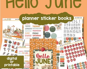 Strawberry Goose Planner Stickers - Planning Dashboards - Cottagecore - Digital Files for Noteful and Goodnotes