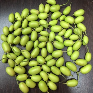 Semi di albero di Neem 40 Azadirachta indica Per germinare il tuo giardinaggio domestico Neem Neboli Nimboli Beej, frutta secca di Neem, Nimodi, albero di Neem