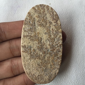 Peut inclure: Gros plan sur une pierre ovale de couleur brun clair avec un motif unique de dendrites brunes. La pierre a une surface rugueuse et texturée.