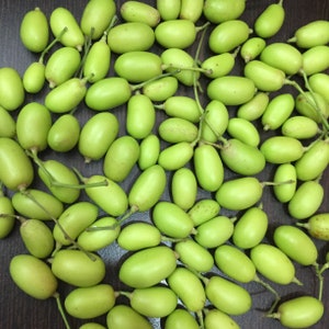 Peut inclure: Un grand groupe de fruits verts de forme ovale avec des tiges. Les fruits sont disposés de manière aléatoire sur une surface brune.