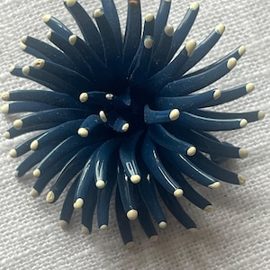 May include: A navy blue brooch with a spiky, starburst design. Each spike has a small, off-white tip. The brooch is set against a textured, white background.