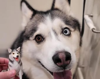 Personalized Pet Wedding Cake Topper: Custom Dog & Cat Figurine