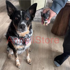 May include: A medium-sized dog with black, white, and tan mottled fur sitting upright, next to a small, hand-held figurine that replicates the dog's appearance with pointed ears, a black and white face, and a tan chest. The text AnneliStore is visible.