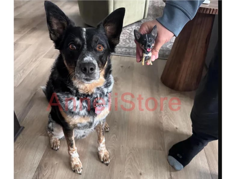 May include: A medium-sized dog with black, white, and tan mottled fur sitting upright, next to a small, hand-held figurine that replicates the dog's appearance with pointed ears, a black and white face, and a tan chest. The text AnneliStore is visible.