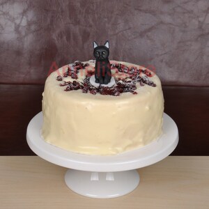 Animali domestici personalizzati personalizzati Animali domestici topper per torta nuziale, topper per torta per cani, topper per torta nuziale, gatti, topper per torta nuziale con gatto