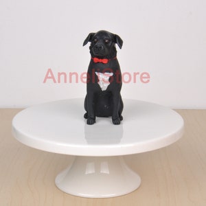 Personalized Pet Cake Topper: Custom Dog, Cat Wedding, Birthday, Anniversary