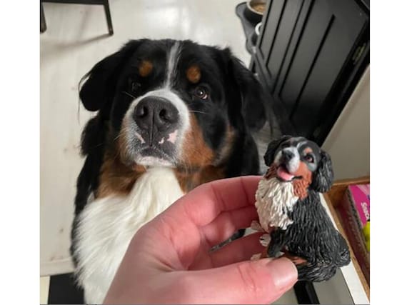 Personalized Pet Wedding Cake Topper: Custom Dog & Cat Figurine
