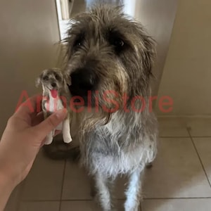 May include: A small, hand-held figurine of a shaggy, grey and white dog with a pink tongue, held next to a large, living, long-haired grey and white dog with a similar coat texture and color pattern. The text ArheliStore is overlaid in red.