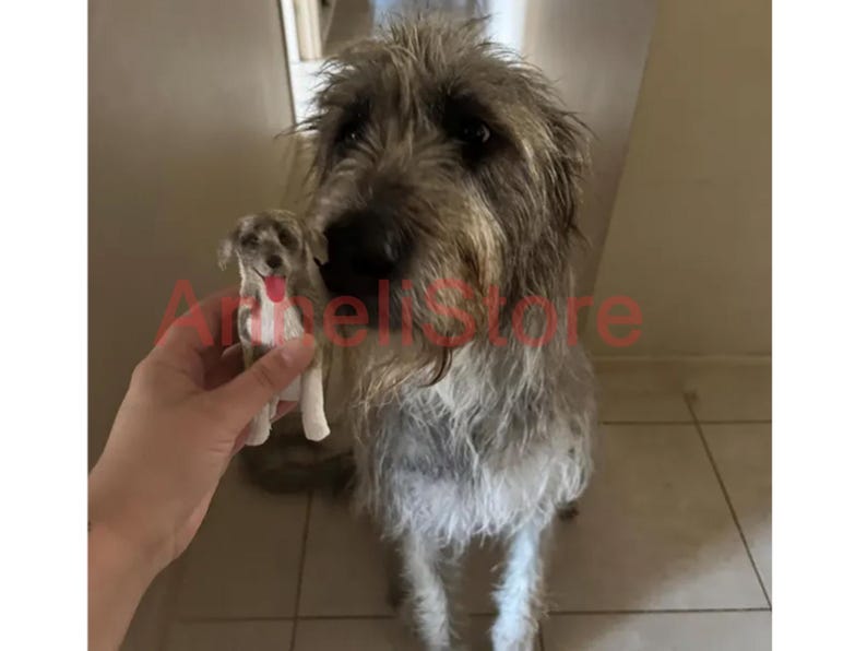 May include: A small, hand-held figurine of a shaggy, grey and white dog with a pink tongue, held next to a large, living, long-haired grey and white dog with a similar coat texture and color pattern. The text ArheliStore is overlaid in red.