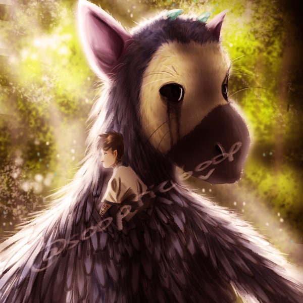 Trico and Boy