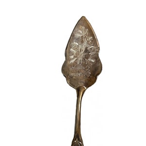 Servidor Internacional Silver Co Pie