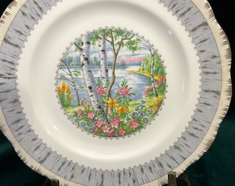 Royal Albert piatto di betulla argento