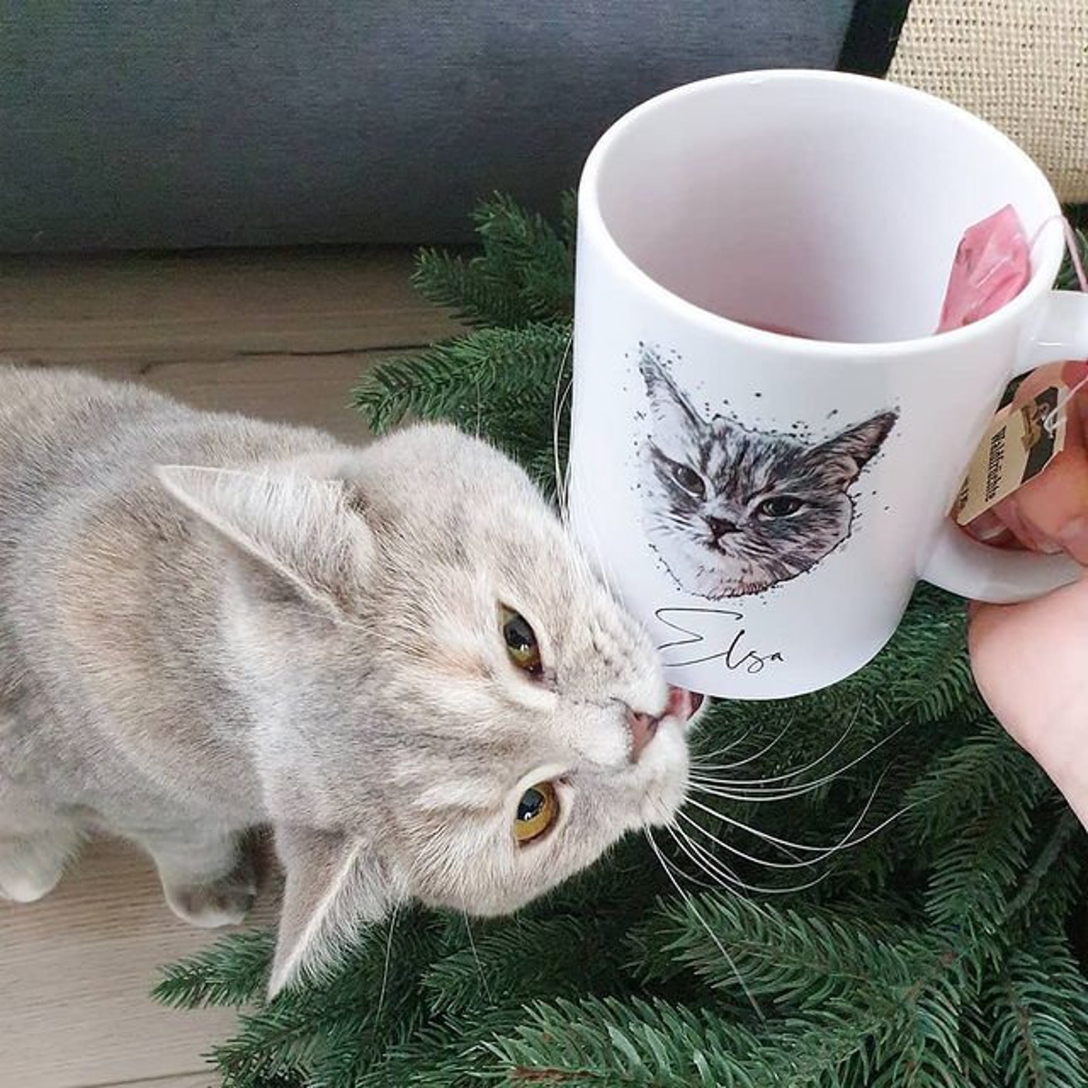 Personalized Pet Cup A Unique Design Etsy