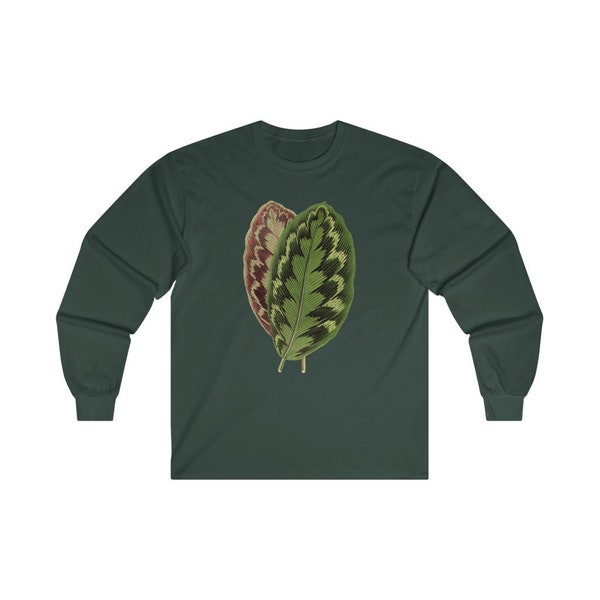 Calathea Medaillon / Veitchiana / Vintage Illustration Print Crewneck Langarm T-Shirt / Hauspflanze / Botanischer Langarm