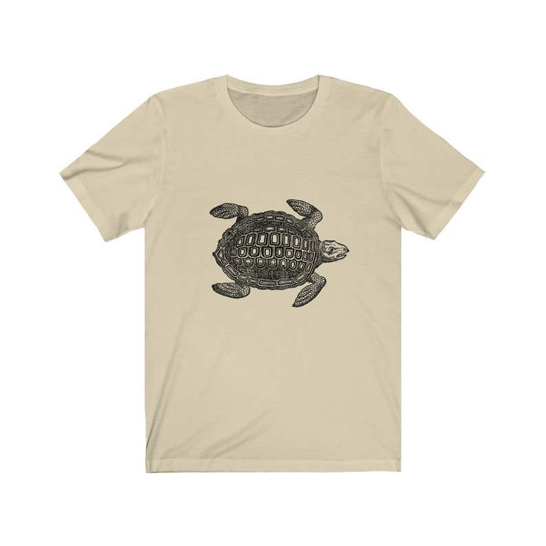 turtle shirt size chart