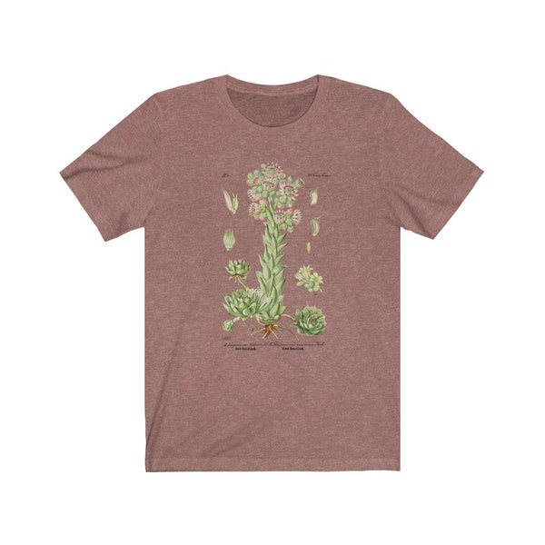 Crassulaceae succulent vintage print tee shirt