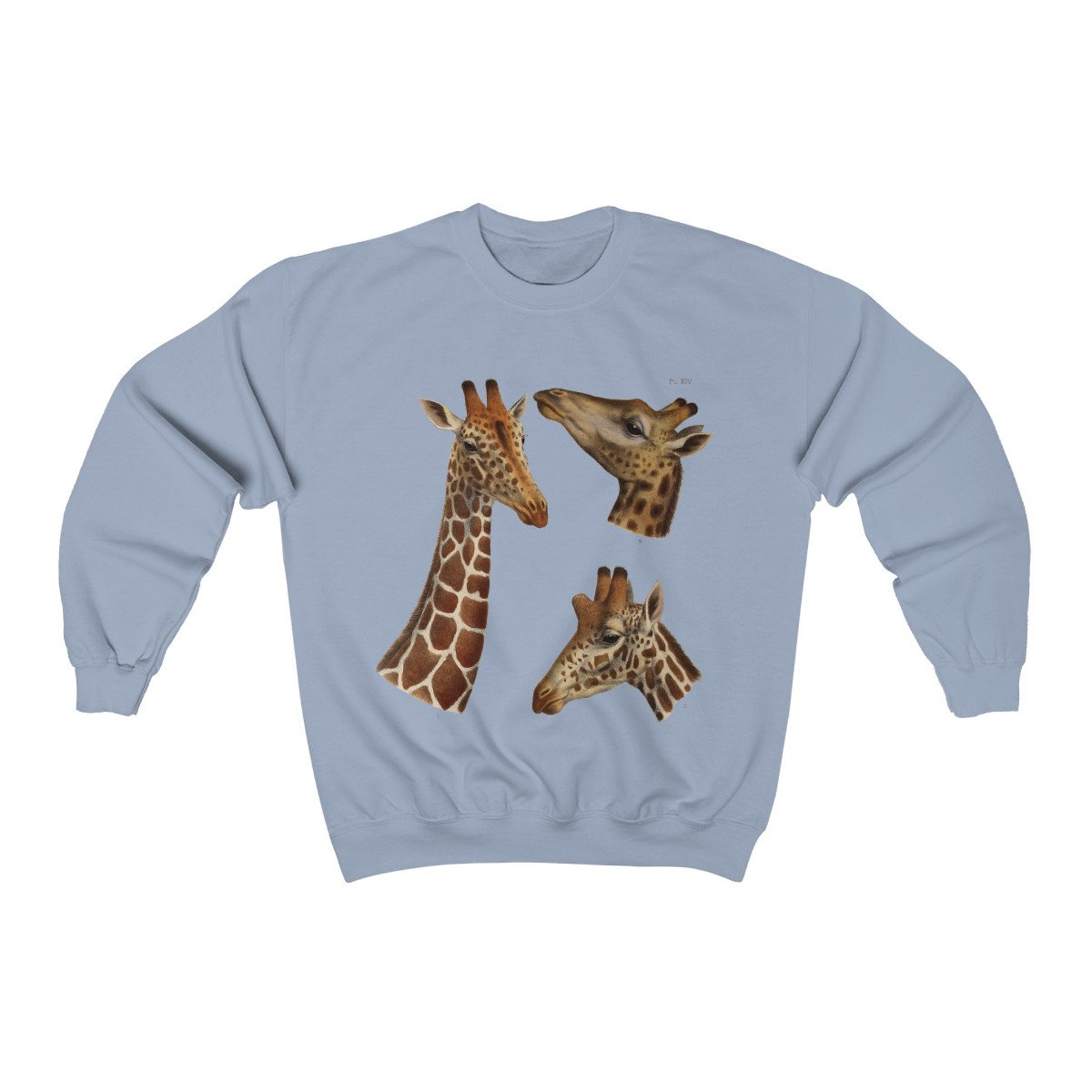 Saturday Giraffe Sweater main image 1