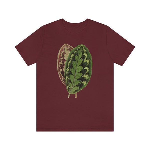 Calathea Medaillons / Veitchiana / Vintage Illustration Druck Crewneck T Shirt / Haus Pflanze T Shirt / Botanischer Unisex Jersey